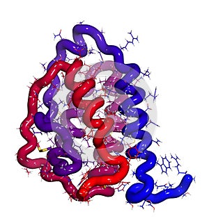 Granulocyte-macrophage colony-stimulating factor (GM-CSF)