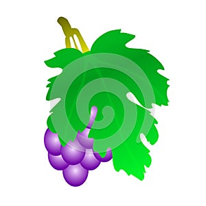 Grape