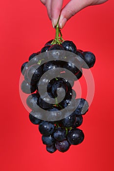 Grape