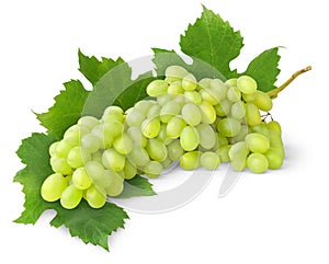 Isolated white grapes