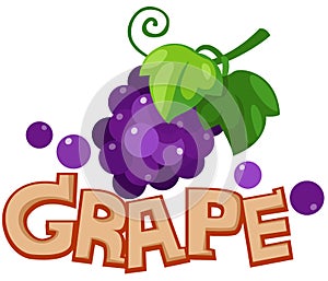 Grape photo