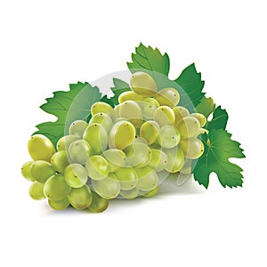 Grape