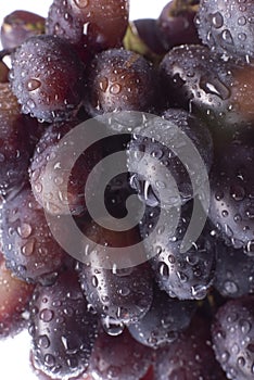 Grape