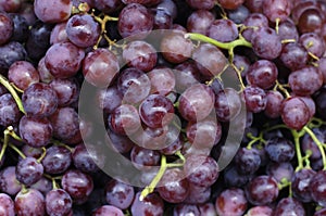 Grape