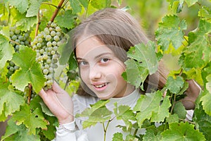 Grape autumn leaves. Little girl with grapes outdoors. Child with grapes on grapevine background. Pretty little girl at