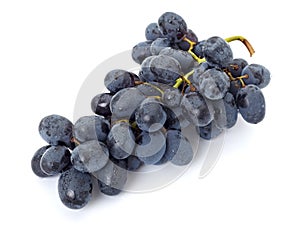 Grape berry photo