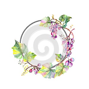 Grape berry healthy food. Watercolor background illustration set. Frame border ornament square.