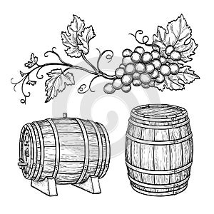 Grape branches and wine barrels.