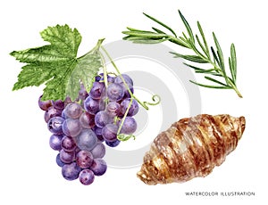 Grape bunch with leaf croissant rosemary food set watercolor illustration isolated on white background