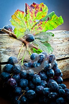 grape bunch with leaf on wood log