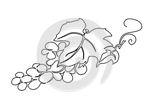 Grape bunch with leaves. Stylized image in continuous one line art technique