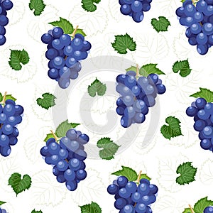 Grape bunch seamless pattern on white background with leaves and sketch, Fresh organic food, Dark blue grape pattern