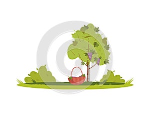 Grape bush semi flat RGB color vector illustration