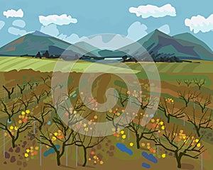 Autumn landscape with vineyard, mountains on horizon and blue sky