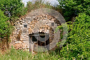 Grape Cellar door