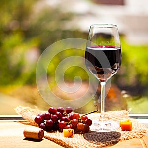 Grape, cheese, figs and honey with a glasses of red and white wi