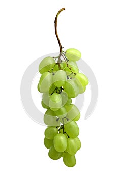 Grape cluster