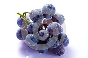 Grape cluster