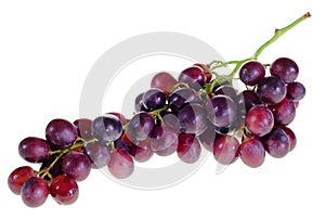 Grape cluster