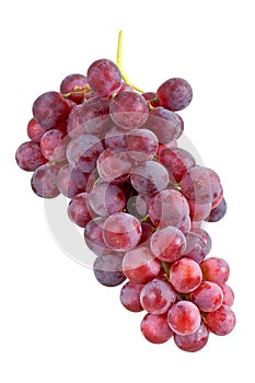 Grape cluster