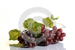 Grape cluster with leaves