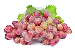 Grape cluster with leaves