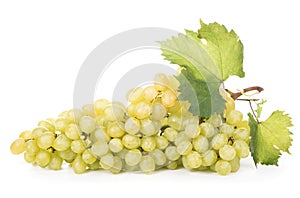 Grape cluster with leaves isolated on the white background