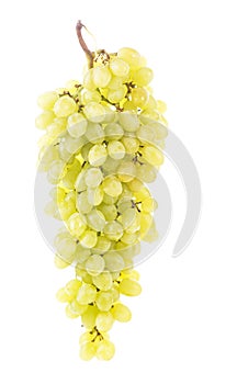Grape cluster with leaves isolated on the white background
