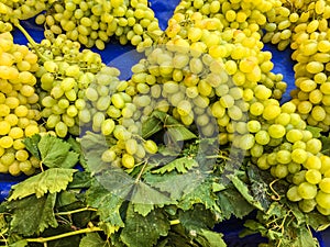 Grape clusters, grape grain