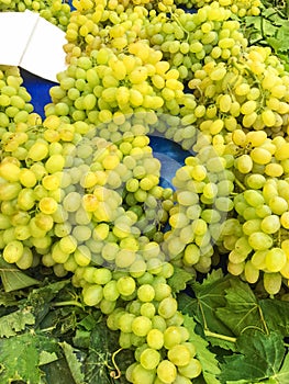 Grape clusters, grape grain