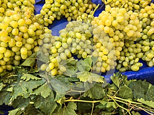 Grape clusters, grape grain