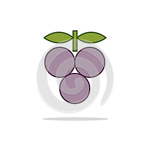 Grape color thin line icon.Vector illustration