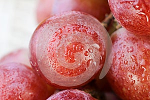 Grape covered with dew close up