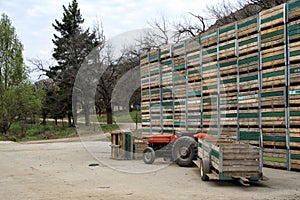 Grape crates on a wine farm in the Cederberg region