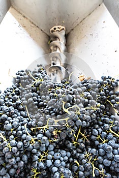 Grape crushing machine