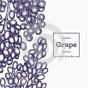 Grape design template. Hand drawn vector grape berry illustration. Engraved style retro botanical banner