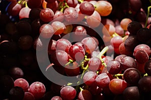 Grape in a farm at Ninh Thuan, Vietnam.