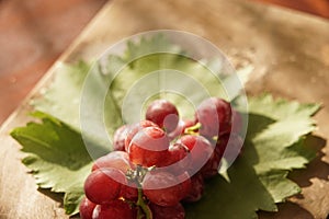 Grape in a farm at Ninh Thuan, Vietnam.