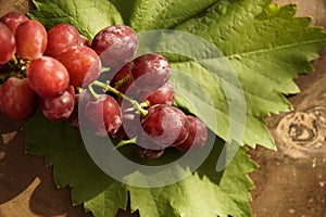 Grape in a farm at Ninh Thuan, Vietnam.