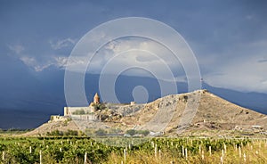 Grape field near ancient armenian church Khor Virap on the hill with Ararat