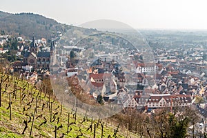 Grape fields above Heppenheim medieval town