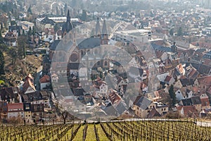 Grape fields above Heppenheim medieval town