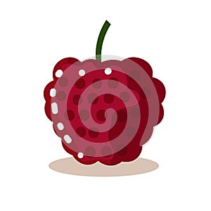 Grape flat icon, buah anggur or grapes vector illustration