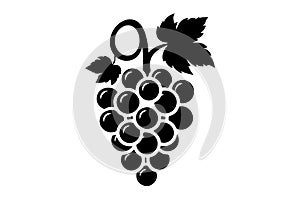 Grape fruit logo icon illustrations