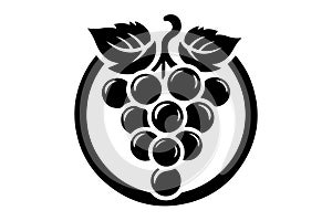 Grape fruit logo icon illustrations