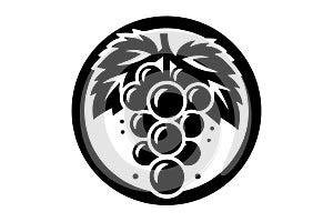 Grape fruit logo icon illustrations