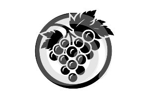 Grape fruit logo icon illustrations