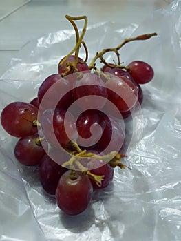 Grape is a fruit that is processed from fruit eggs in the form of vines which belong to the Vitaceae family?