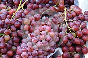 GRAPE FRUIT ON SALE IN COPENHAGEN