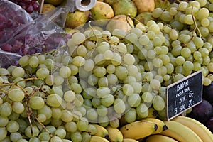 GRAPE FRUIT ON SALE IN COPENHAGEN